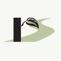 Rock Solid Landscapes,Llc