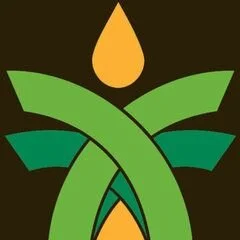 Secureturf - Charlotte Landscaping Experts