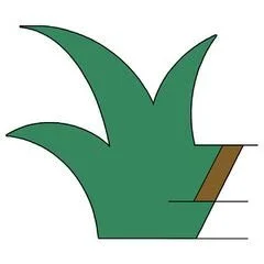 Sustain Scape