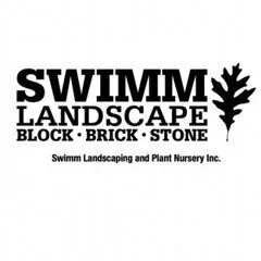 Swimm Landscape