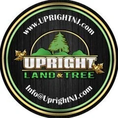 Upright Land & Tree