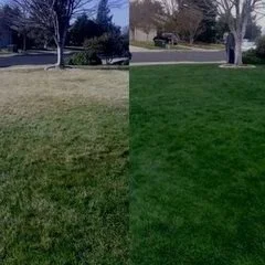 Xtreme Green Grass