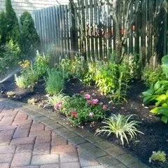 Raffiani'S Automatic Sprinkler Service