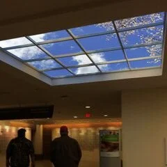 Artificial Sky