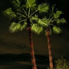 Artistic Illumination