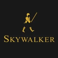 Skywalkers Painting & Repairs