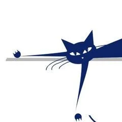 Cat In A Hammock