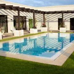 Dragonfly Pool & Spa, Llc