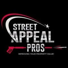 Street Appeal Pros Cape Cod: Eco-Safe Roof Cleanin