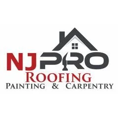 Nj Pro Roofing & Painting Llc