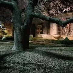 Holiday Lighting By Amy