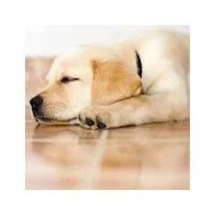 Radiant Surfaces & Warm Tile Floors