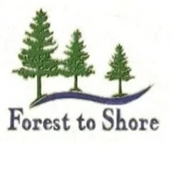 Forest To Shore