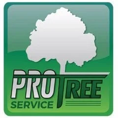 Pro Tree Service