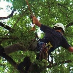 Westgreen Tree Service Llc