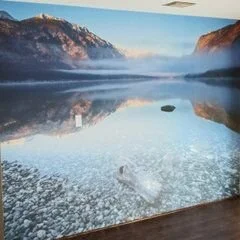 Artistic Overlay Systems